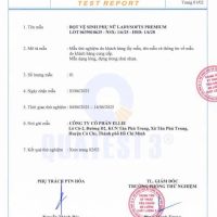 Dung dịch vệ sinh dạng bọt Ladysofts Premium 100ml