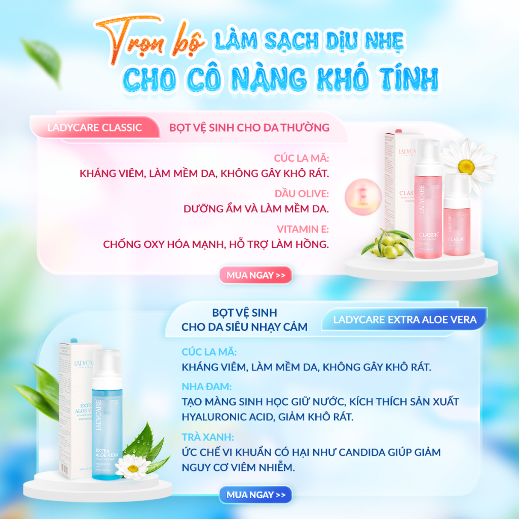 Cúc La Mã: Cơ Chế Hỗ Trợ Kháng Khuẩn và Dịu Da