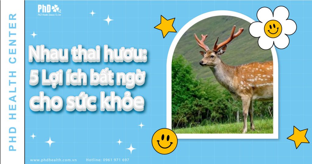 Nhau thai hươu: 5 Lợi Ích Bất Ngờ Cho Sức Khỏe